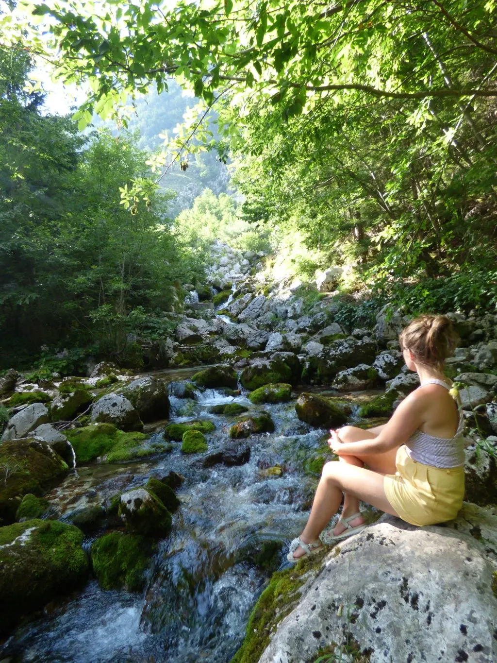 Assise sur un rocher au bord du torrent en sous-bois
