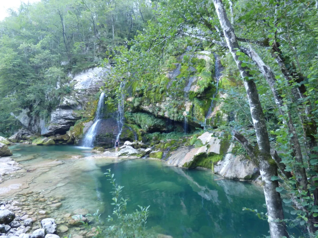 Cascade tombant dans un bassin vert émeraude en sous-bois