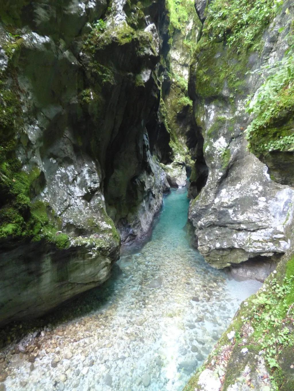 Canyon tapissé de mousse ouvert sur l'eau turquoise
