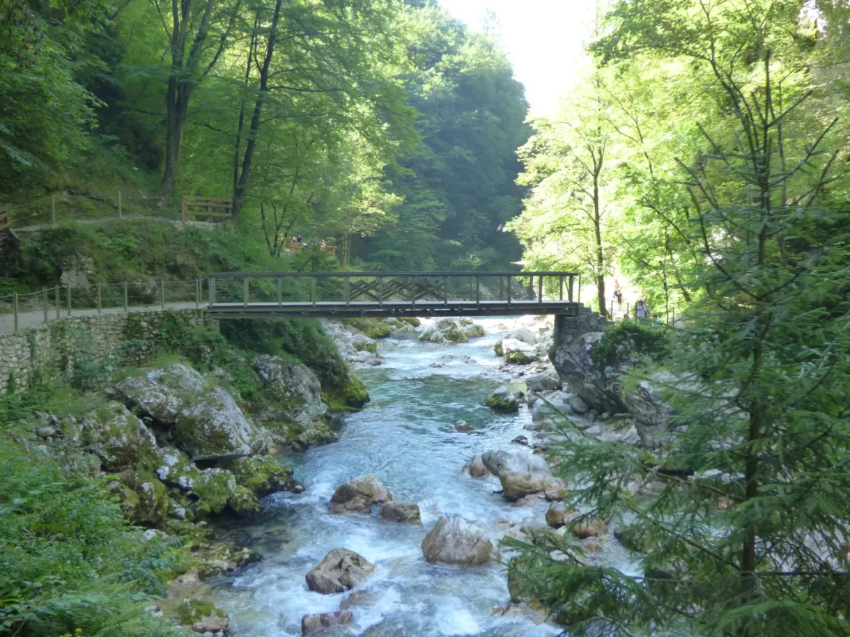 Passerelle métallique au-dessus du torrent en pleine forêt