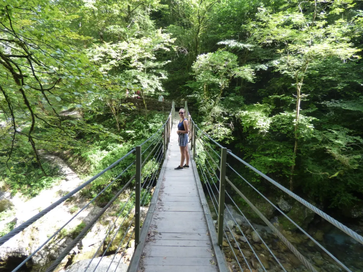 Silhouette au milieu d'un pont suspendu bordé de feuillage