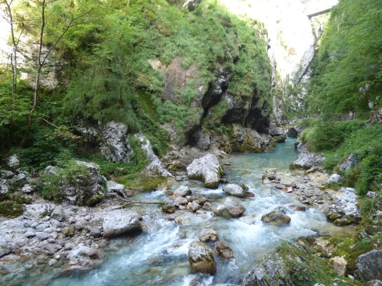 Rochers moussus et eau vive au fond des gorges de Tolmin