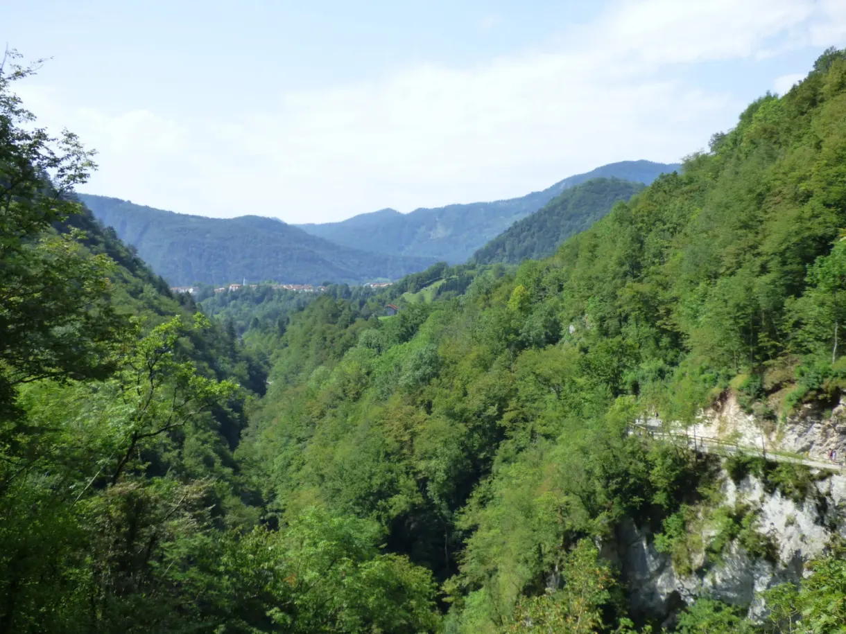Panorama sur la vallée boisée depuis le sentier