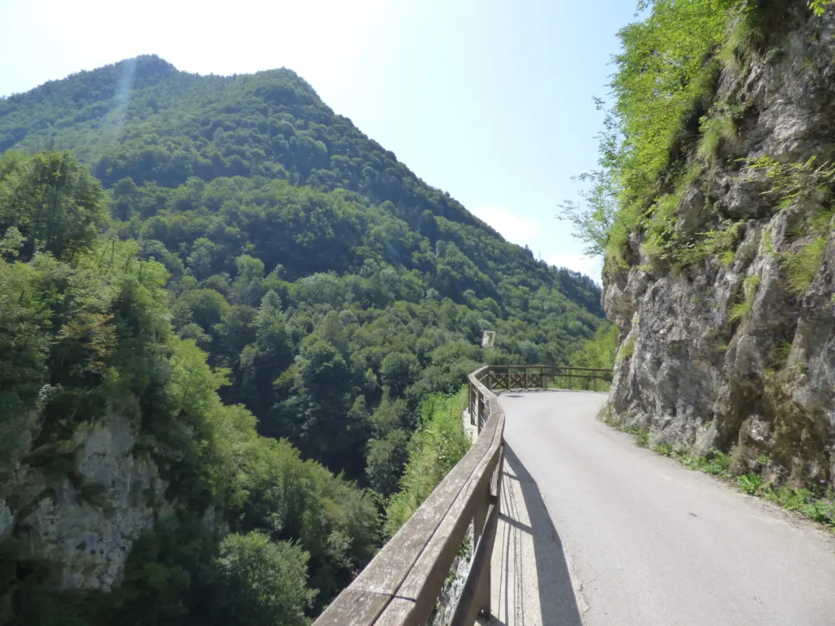 Route étroite taillée dans la falaise au-dessus des arbres