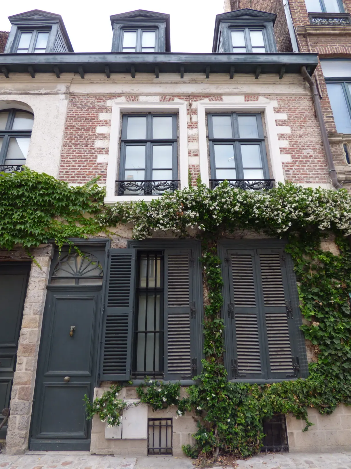 Façade envahie de vigne vierge aux volets gris