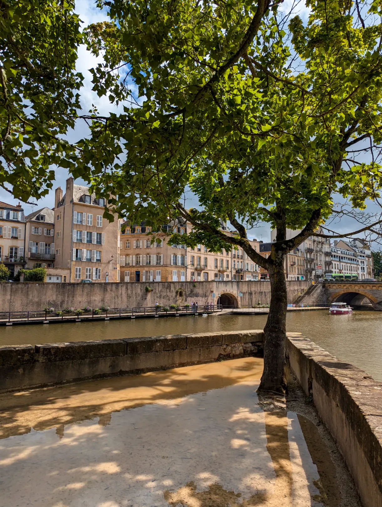 Quai ombragé par un grand arbre, façades anciennes sur l'autre rive