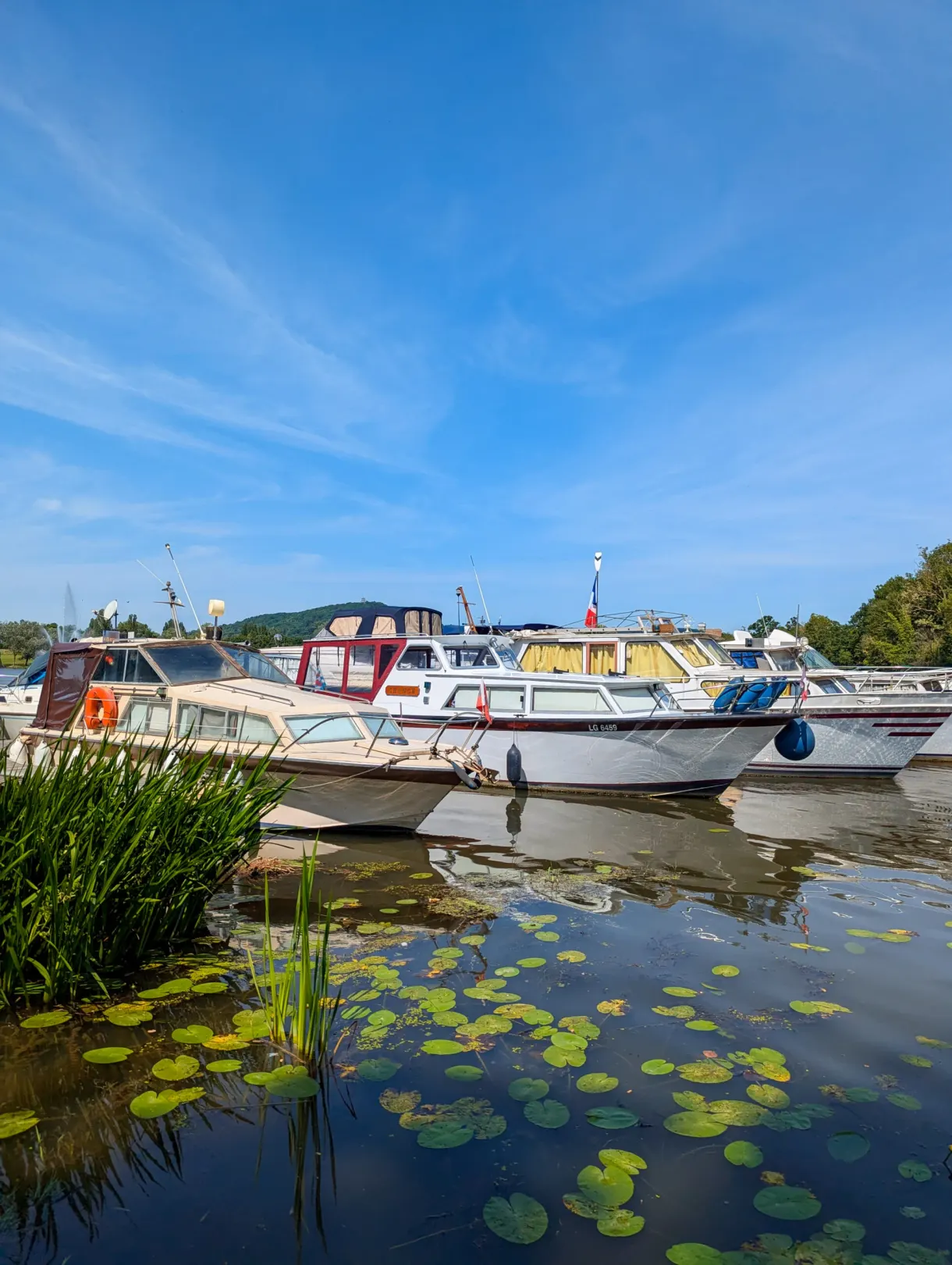 Bateaux de plaisance à quai et nénuphars flottant au premier plan