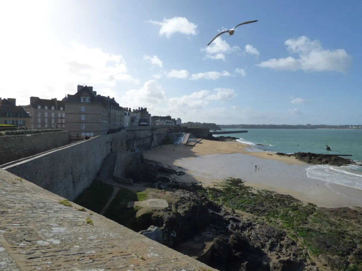 Mouette en vol au-dessus des remparts et de la plage