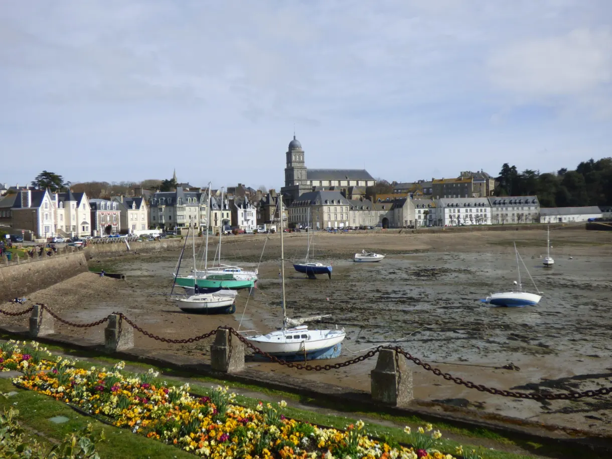 Voiliers échoués dans le port à marée basse et jonquilles fleuries