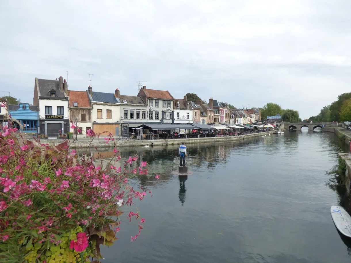 Canal bordé de terrasses et de façades, fleurs roses au premier plan