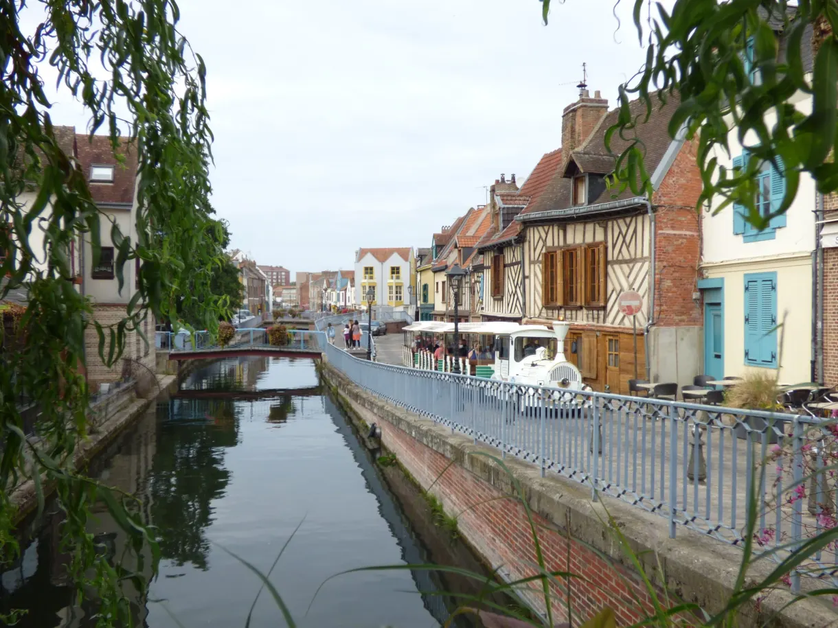 Canal étroit longeant des maisons à colombages et un saule