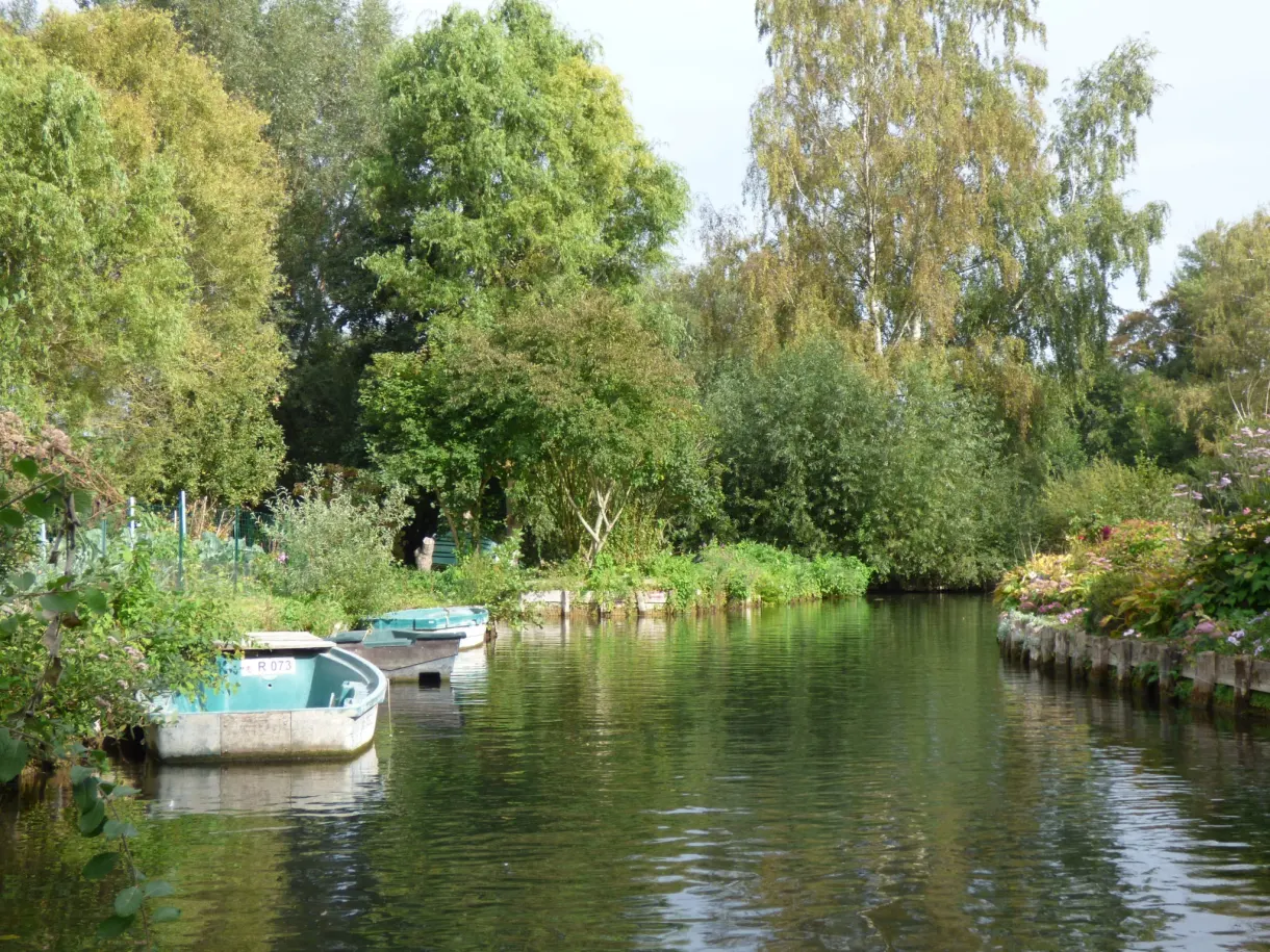 Barque bleue amarrée au pied d'une parcelle cultivée