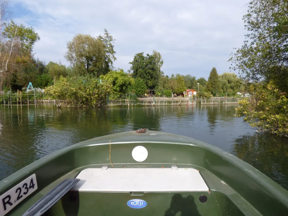 Proue verte fendant l'eau d'un canal bordé d'arbres