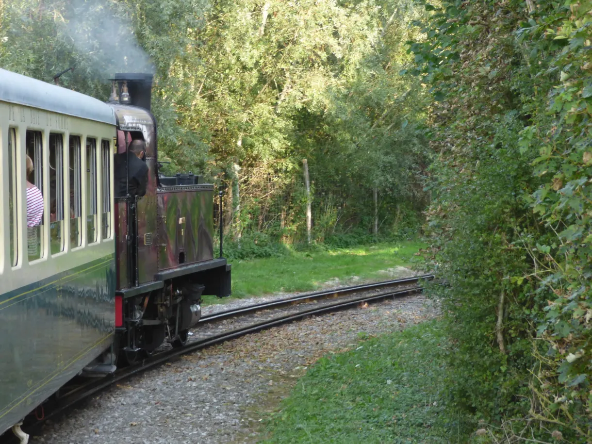 Train à vapeur abordant une courbe le long d'une haie