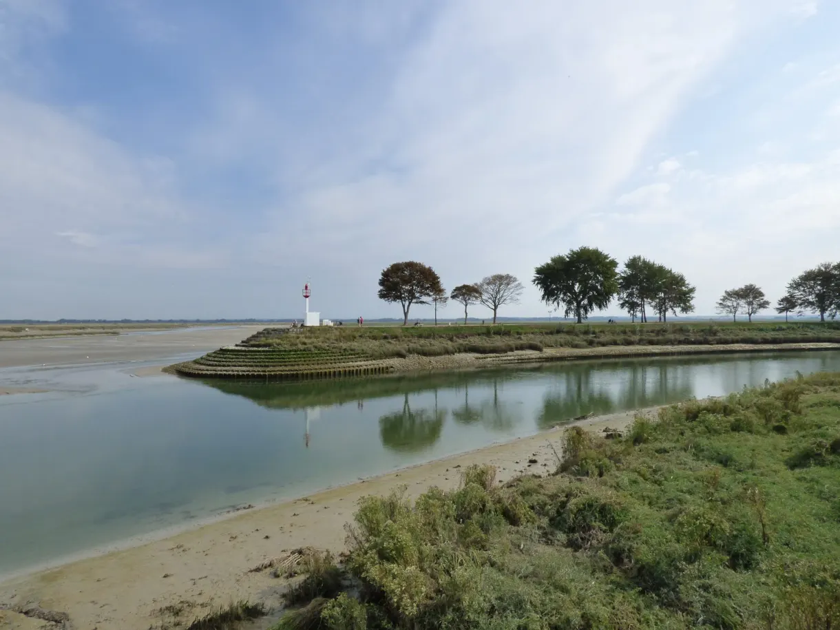 Petit phare blanc et rideau d'arbres au bord du chenal