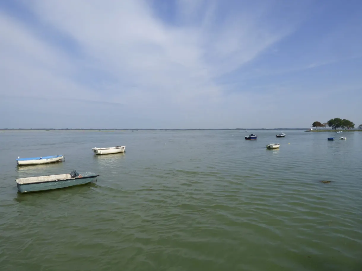 Barques au mouillage dans la baie sous un ciel voilé