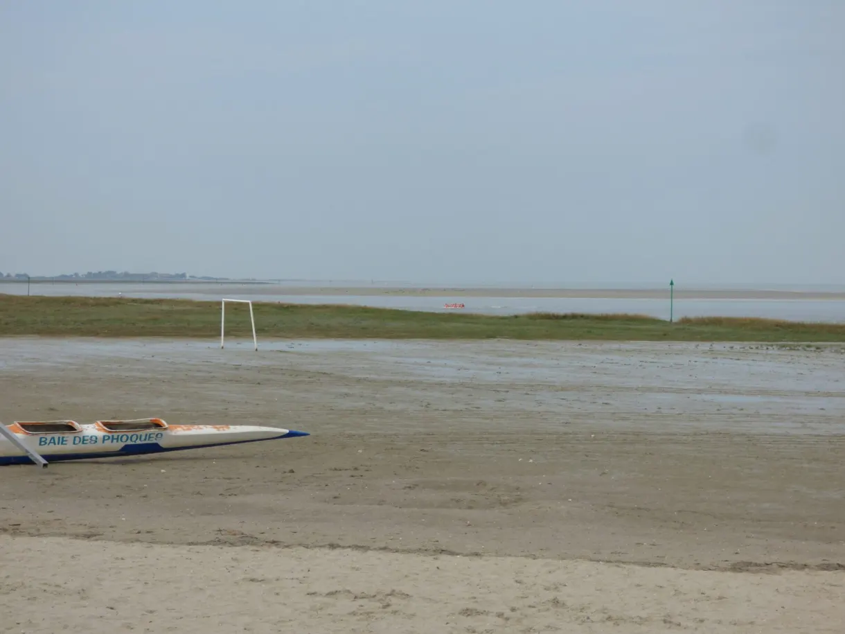 Catamarans de l'école de voile posés sur l'estran de sable
