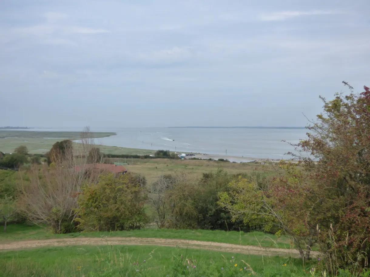 Pelouse et arbres dominant la baie à marée basse