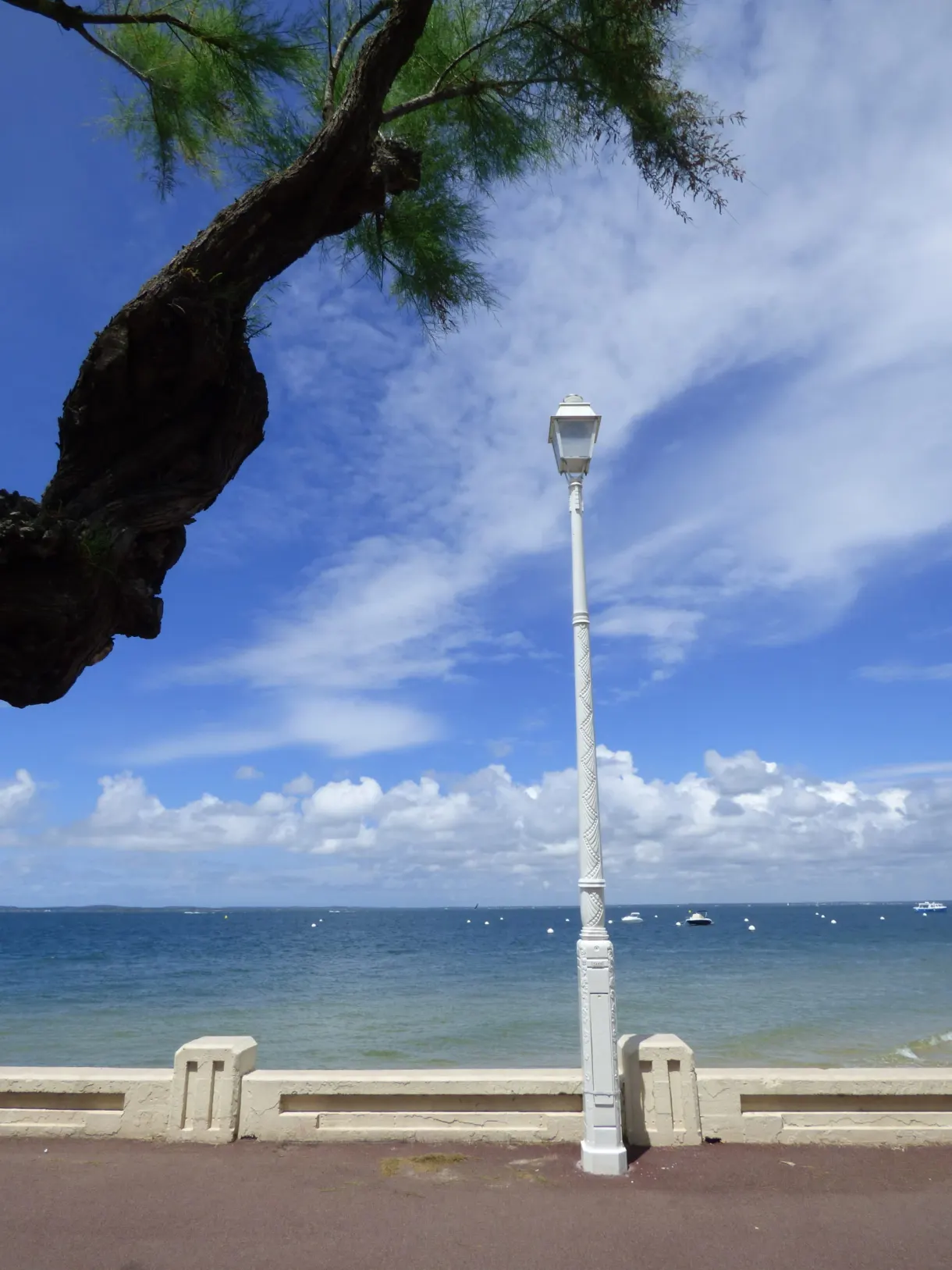 Lampadaire du front de mer sous une branche de pin