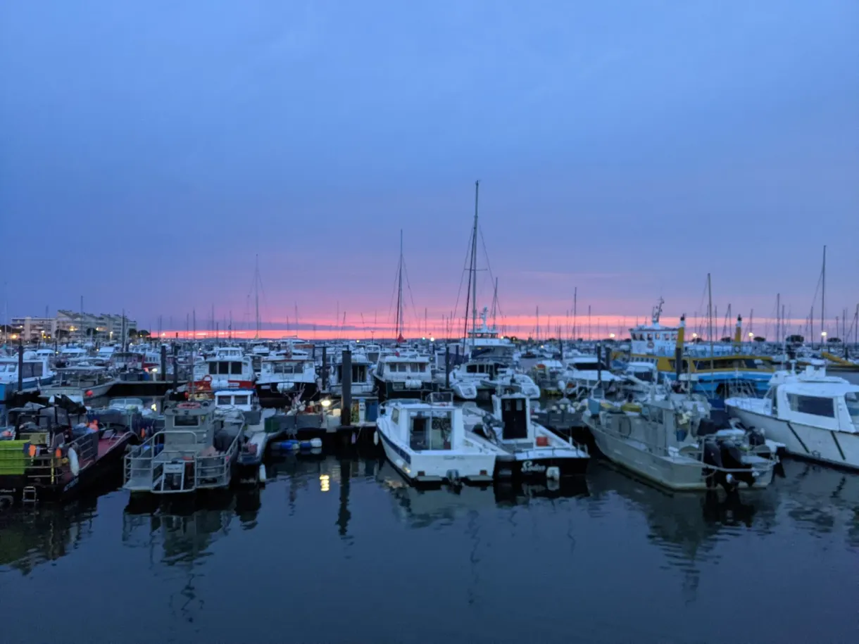 Port de plaisance et forêt de mâts au coucher du soleil