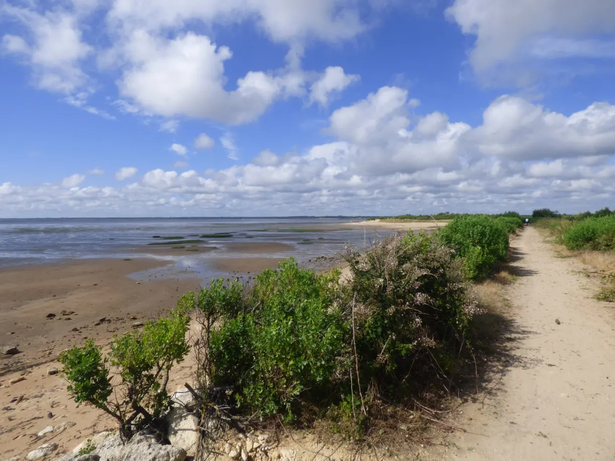 Sentier de sable longeant l'estran découvert