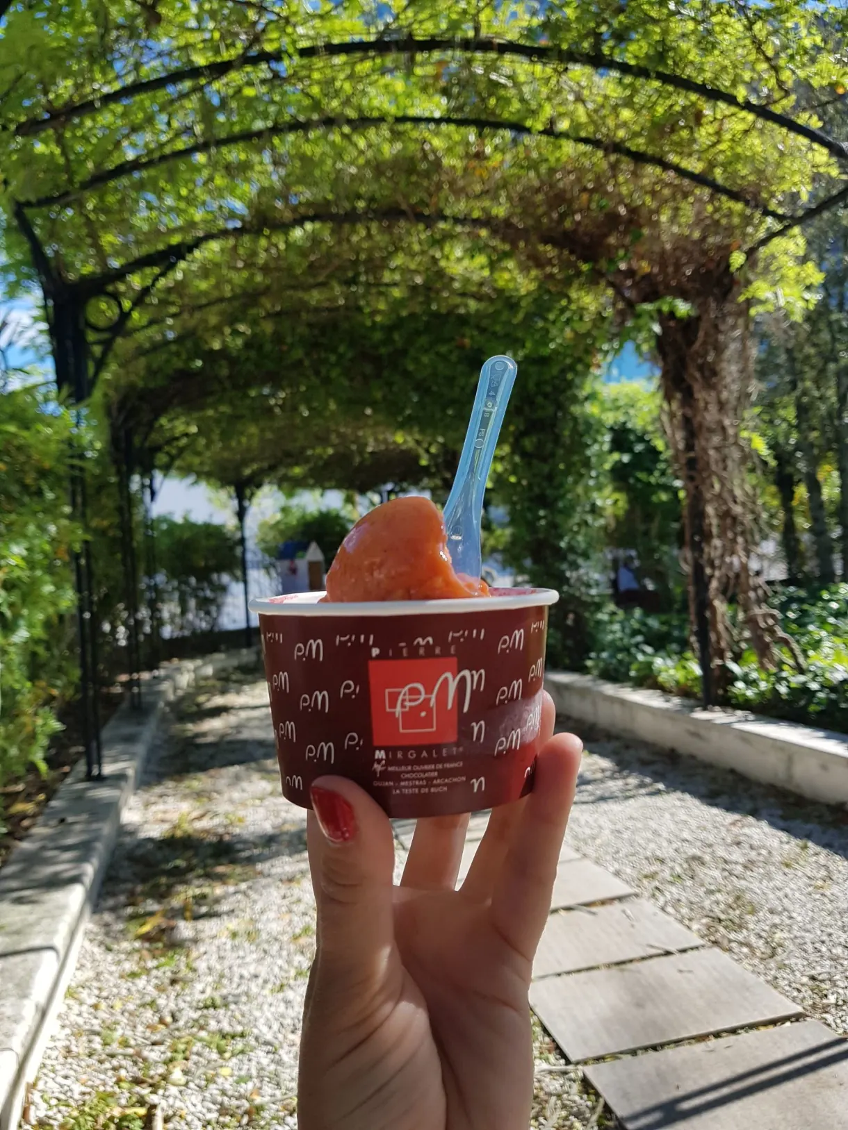 Glace à la main sous une pergola de verdure