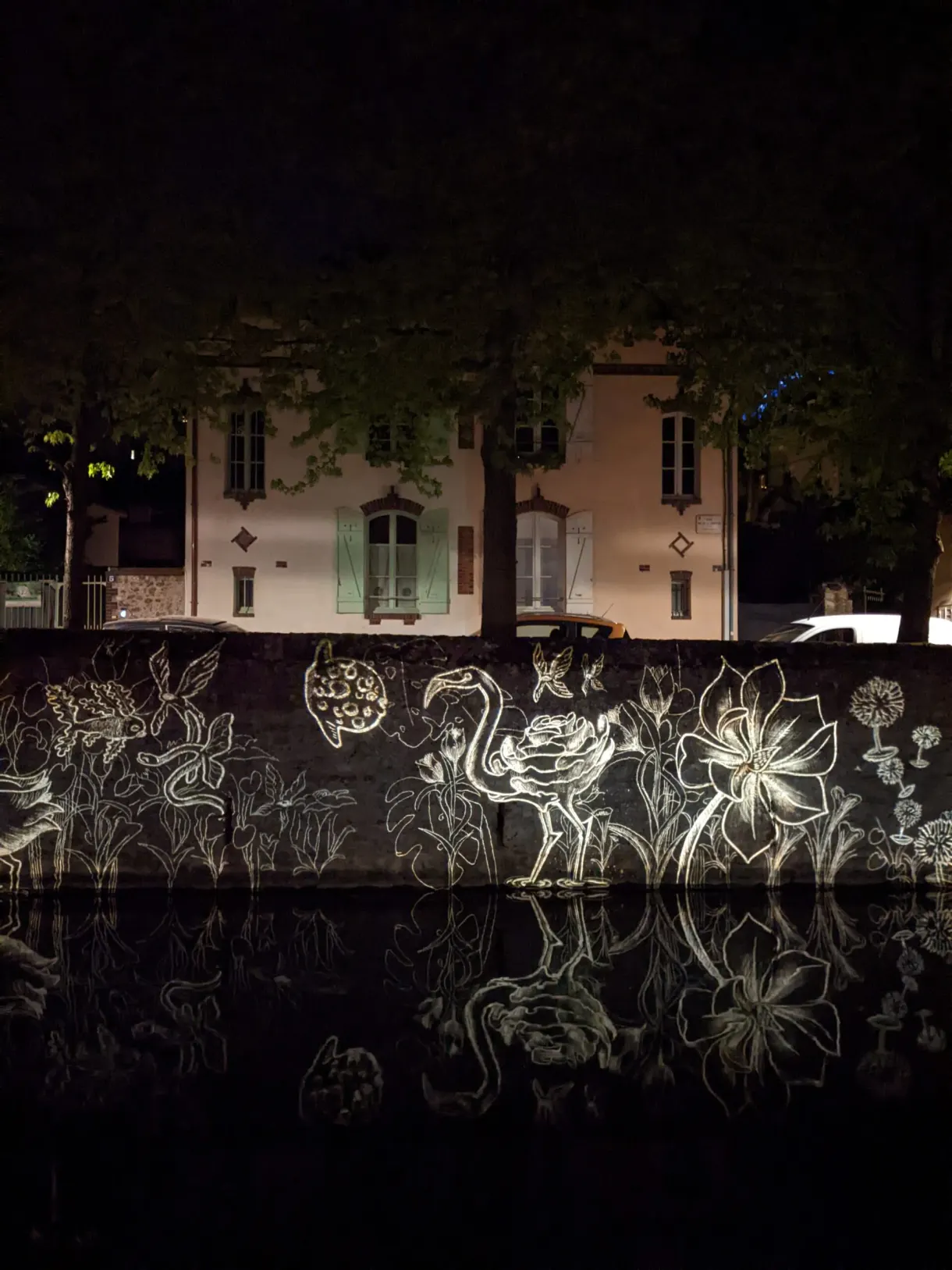 Motifs floraux lumineux projetés sur un mur au bord de l'eau