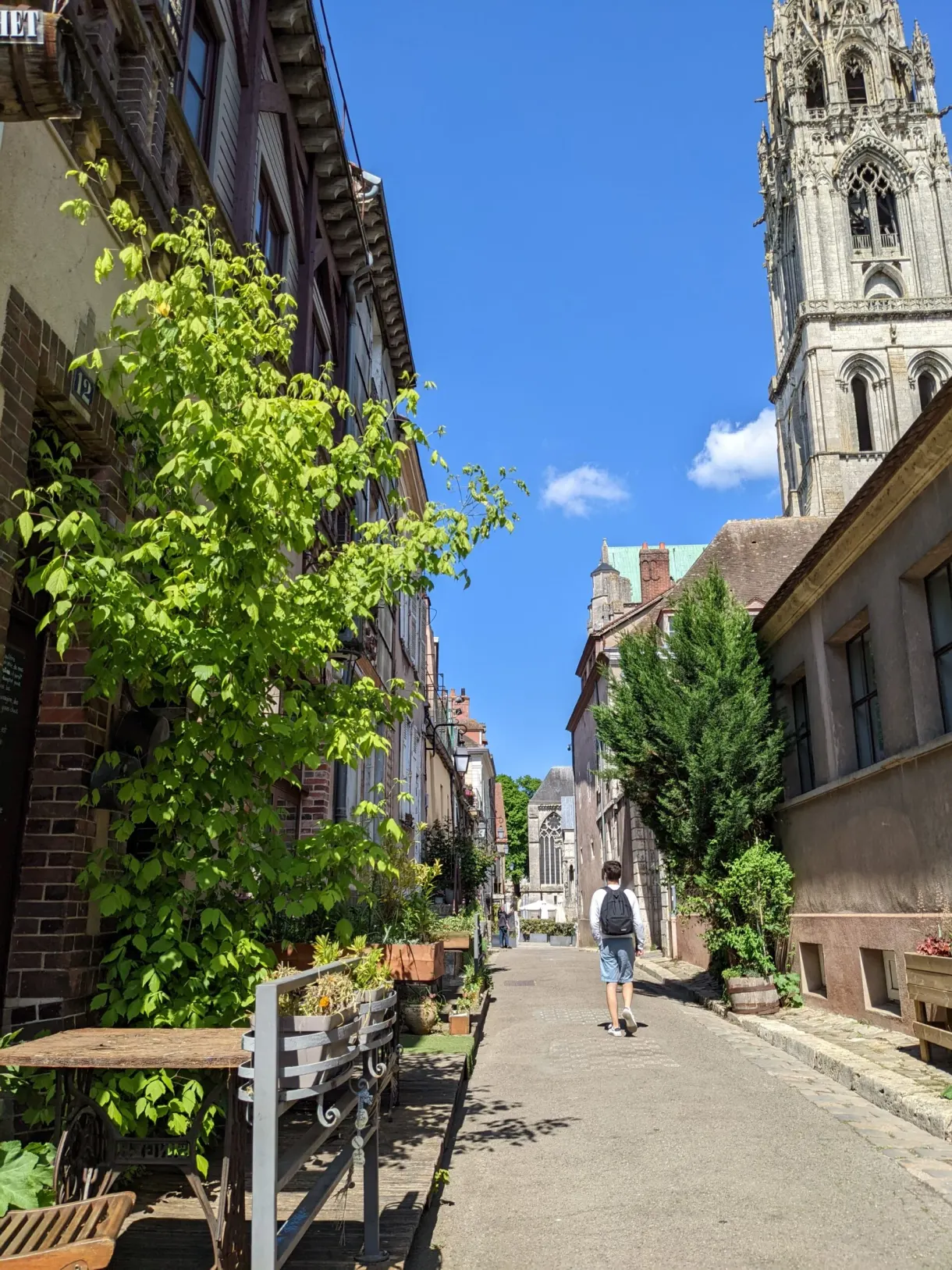 Rue en pente verdoyante menant vers la flèche de la cathédrale