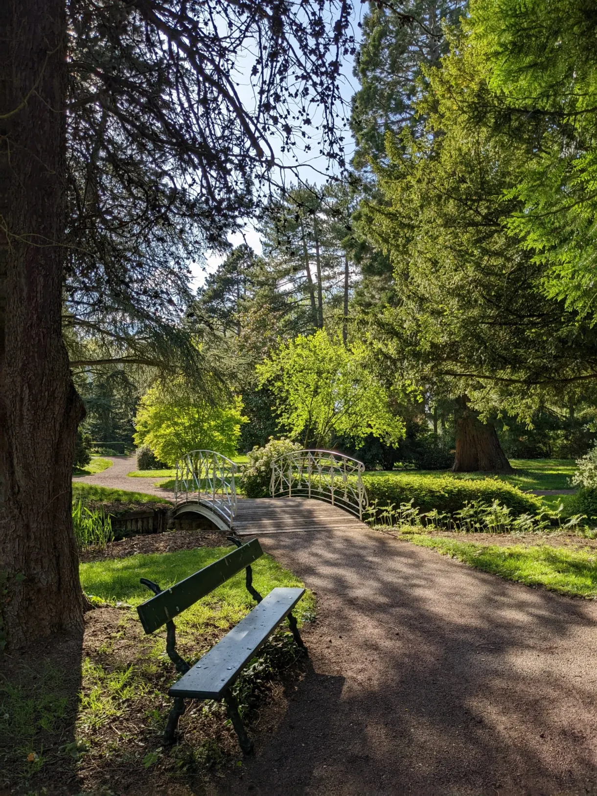 Banc de bois au bord d'une allée menant à une passerelle