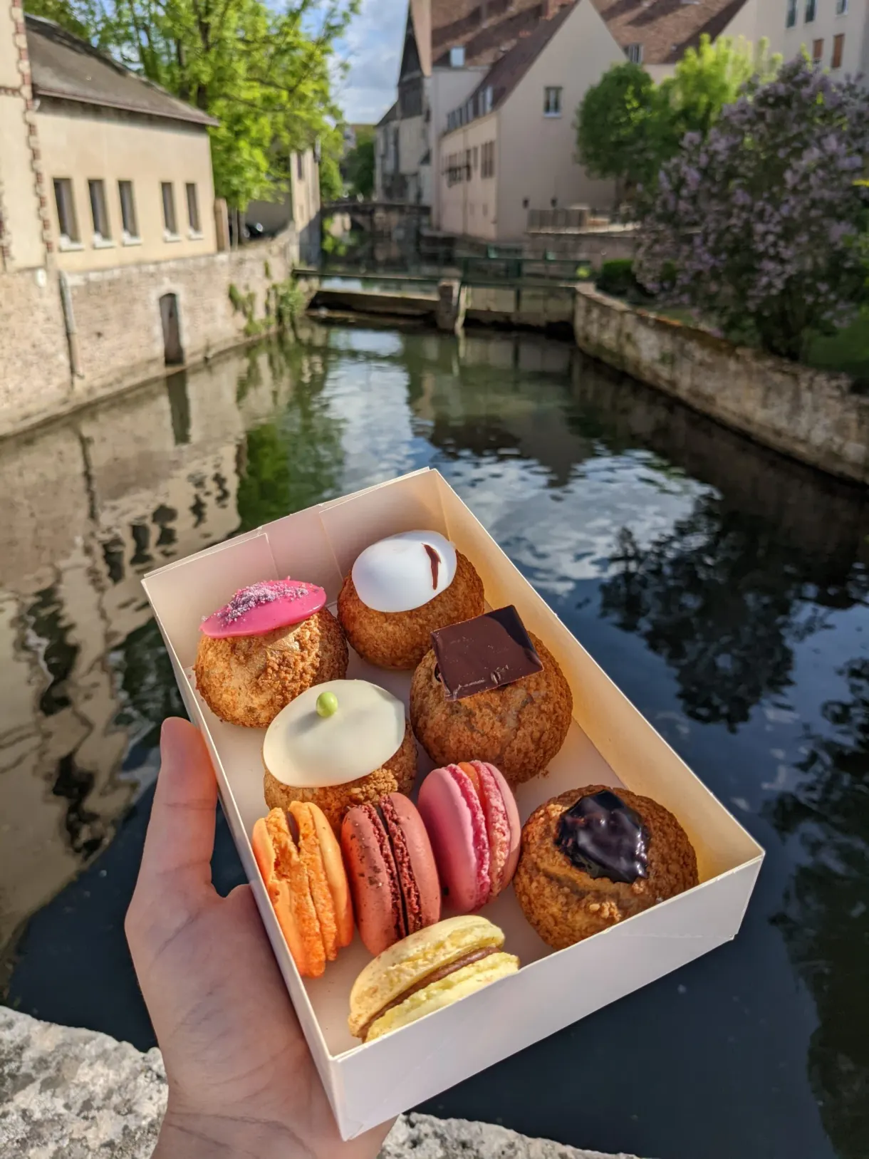 Boîte de macarons et pâtisseries tenue au bord de l'eau